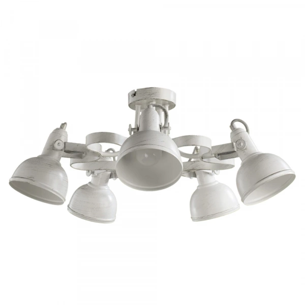 Потолочная люстра Arte Lamp MARTIN A5216PL-5WG
