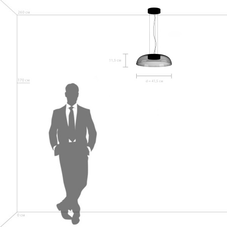 Люстра подвесная Lightstar Celesta 809210