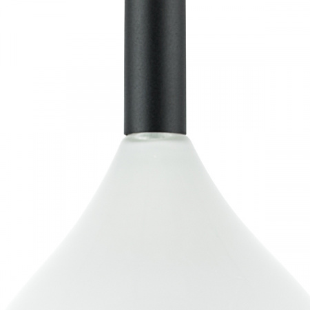 Подвес Lightstar Forma 808230