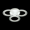 Люстра потолочная LUMION LEDIO 5203/48CL