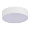 ST LUCE ST606.532.27 Светильник потолочный Белый LED 1*27W 3000K 2 340Lm Ra>85 120° IP20 D220xH55 185-265V Накладные светильники