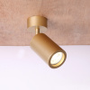 Потолочный светильник Favourite Light Angularis 2802-1U