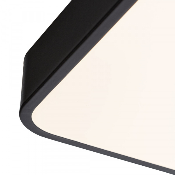 Потолочный светильник Arte Lamp SCENA A2687PL-45BK