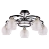 Потолочная люстра Arte Lamp GINEVRA A1604PL-5BK
