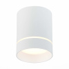 ST LUCE ST115.532.12 Светильник потолочный Белый LED 1*12W 3000K 840Lm Ra>90 120° IP20 D79xH100 170-240V Накладные светильники