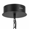 Люстра подвесная Lightstar Iris 734247