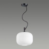 Подвес ODEON LIGHT PENDANT 4753/1