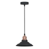 Подвесной светильник Arte Lamp LIDO A5067SP-1BK