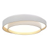 EVOLUCE SLE6009-502-01 Светильник потолочный Белый/Белый LED 1*50W 3000K/4000K/6000K КРОСБИ