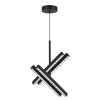 ST LUCE SL1018.413.04 Светильник подвесной ST-Luce черный/прозрачный LED 1*43W 4000K ЭВКЛИДИК