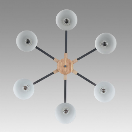 Люстра потолочная LUMION MODERNI 8096/6C