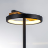 Настольная лампа Lightstar Lodi 723927