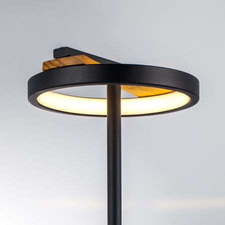 Настольная лампа Lightstar Lodi 723927