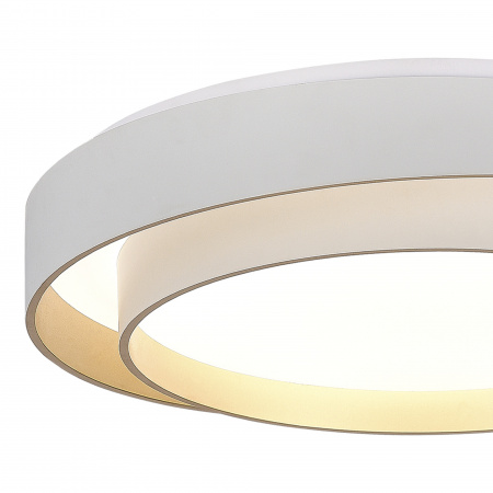 EVOLUCE SLE6009-502-01 Светильник потолочный Белый/Белый LED 1*50W 3000K/4000K/6000K КРОСБИ