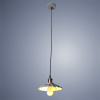 Подвесной светильник Arte Lamp ASTI A8160SP-1GY