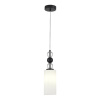 ST LUCE SL2003.403.01 Светильник подвесной ST-Luce черный/белый E27 1*40W АВРОРА
