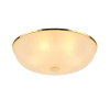 Потолочный светильник F-Promo Costa 2752-5C