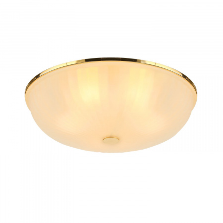Потолочный светильник F-Promo Costa 2752-5C
