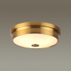 Настенно-потолочный светильник ODEON LIGHT WALLI 4824/3C