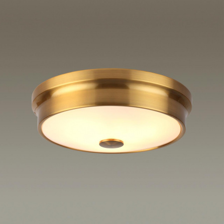 Настенно-потолочный светильник ODEON LIGHT WALLI 4824/3C