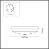 Настенно-потолочный светильник ODEON LIGHT WALLI 4824/4C
