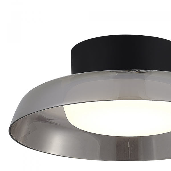 ST LUCE SL6019.412.01 Светильник потолочный ST-Luce Черный/Дымчатый, Белый LED 1*36W 3000K ФОРЕЙ
