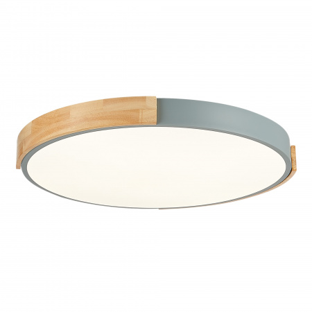 EVOLUCE SLE201372-01 Светильник потолочный Серый, Светлое дерево/Белый LED 1*40W 3000K/4000K/6000K ДЕЛИА