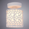 Потолочный светильник Arte Lamp TRAFORATO A8349PL-1WH