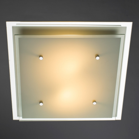 Потолочный светильник Arte Lamp RAPUNZEL A4868PL-2CC