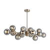 Подвесная люстра Favourite Light Varietas 2650-14P