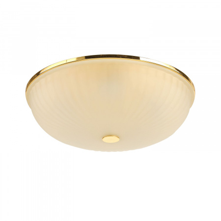 Потолочный светильник F-Promo Costa 2752-5C